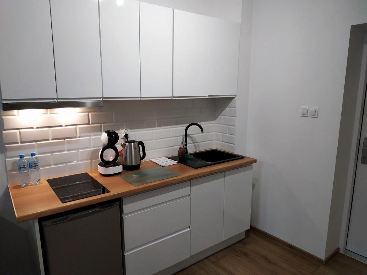 Theapartments Radwanska Łódź Kültér fotó